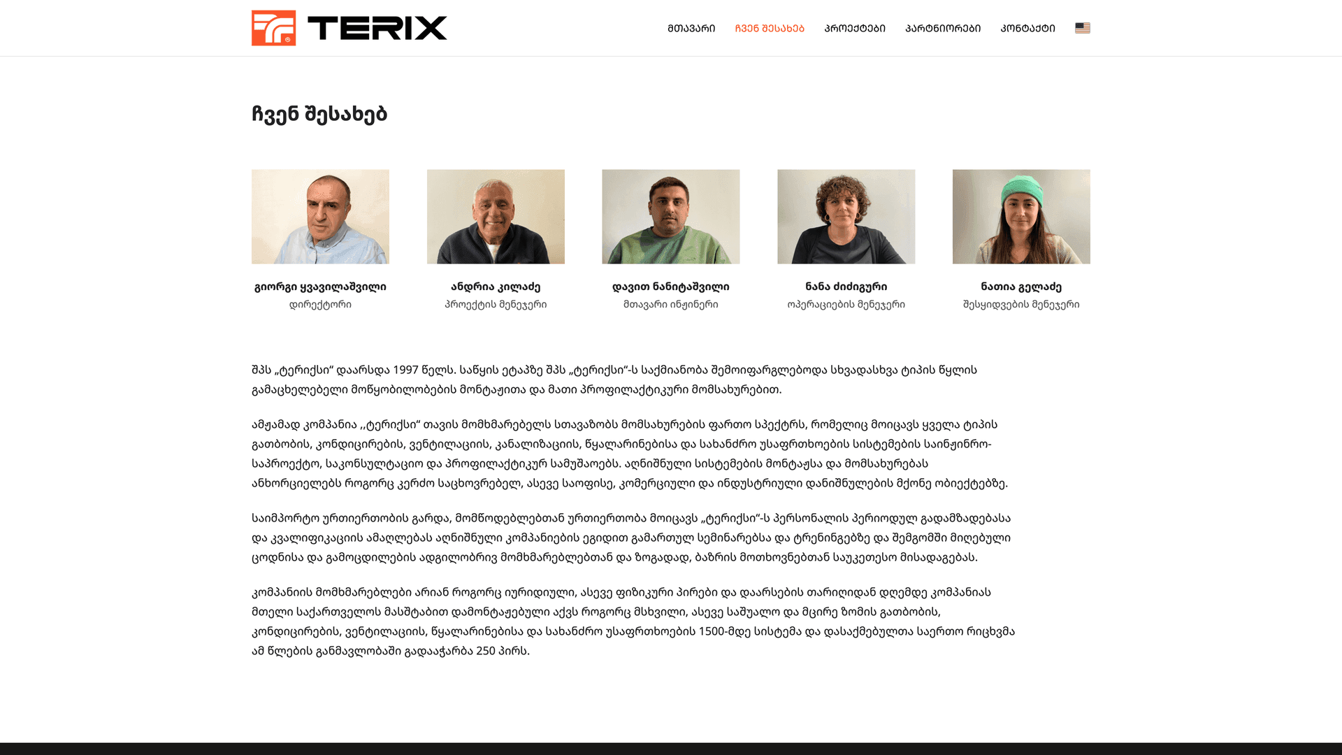 Terix screenshot 1